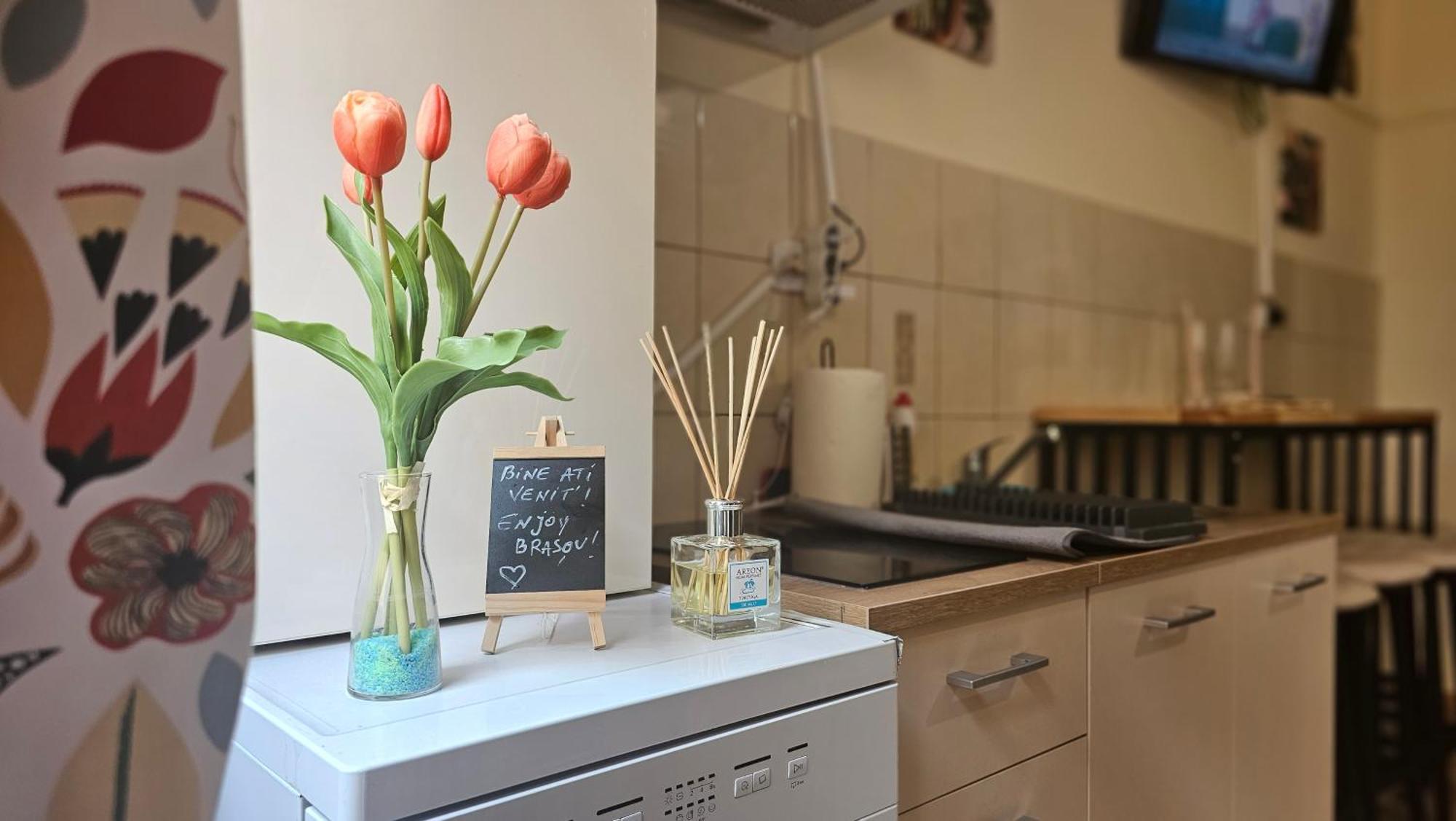 Happy Mood Apartment 5 Брашов Екстериор снимка